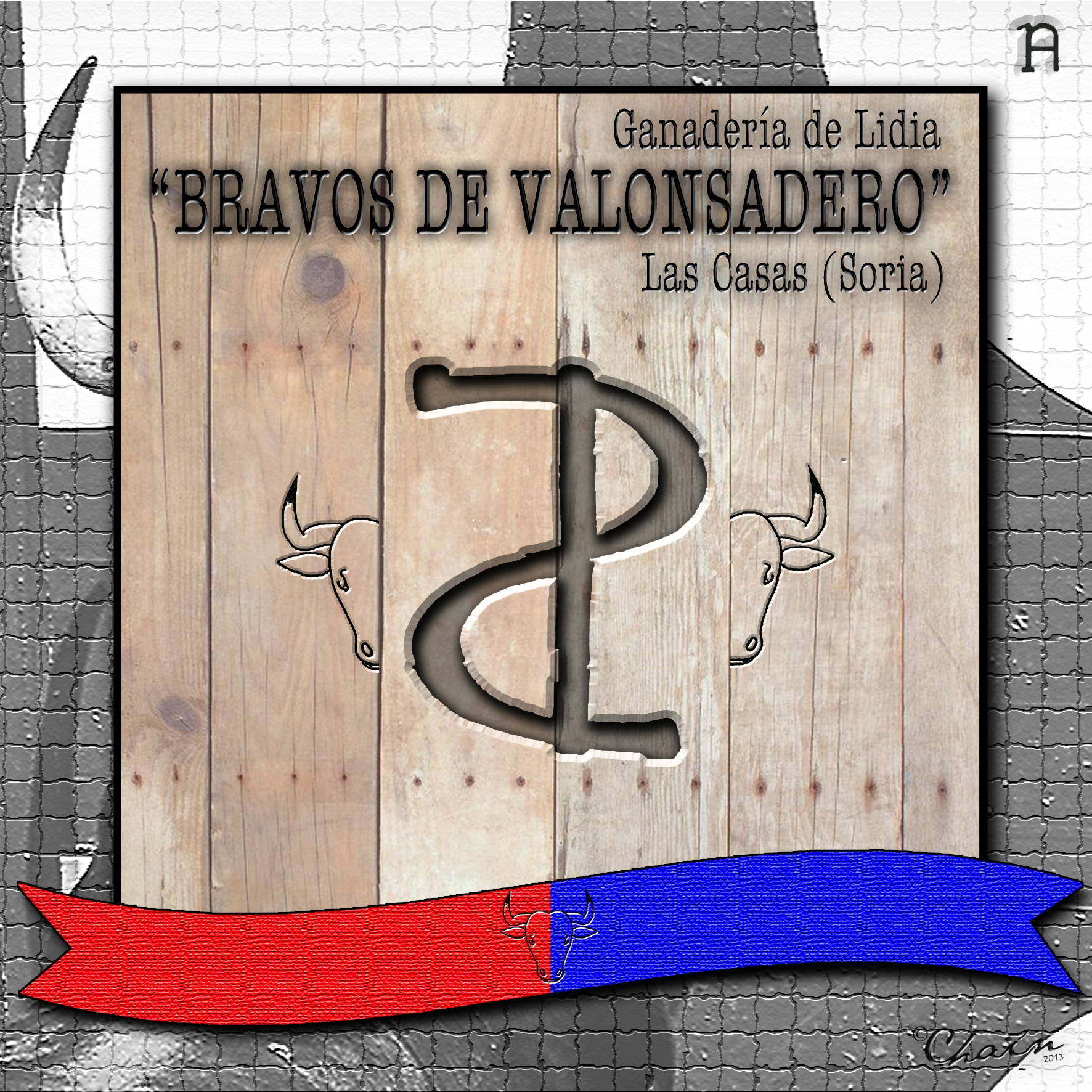 BRAVOS DE VALONSADERO. (Soria Taurina)